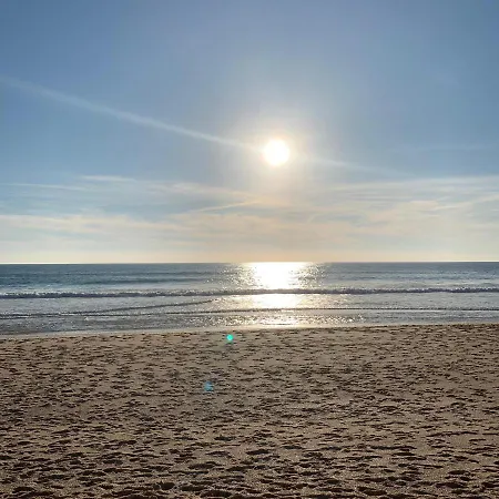 Corcovada, Sunny And Bright T1 With Large Terrace,